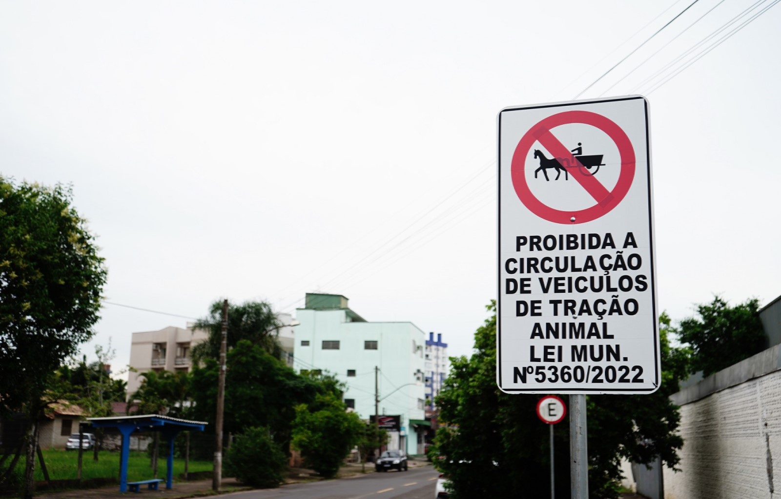 Circulação de veículos de tração animal está proibida no centro de Campo Bom