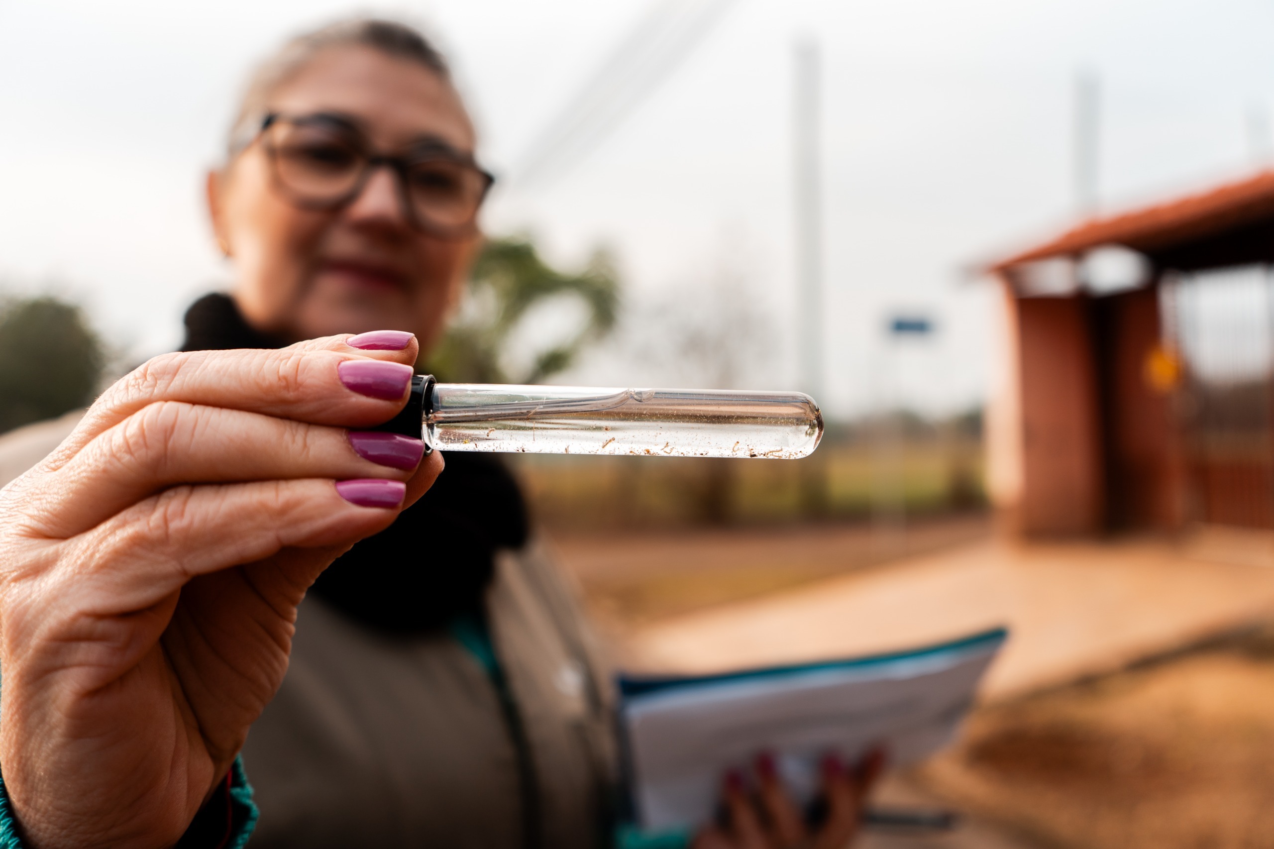 Campo Bom tem 99% menos casos de Dengue que no ano passado, mas cuidado nunca é demais
