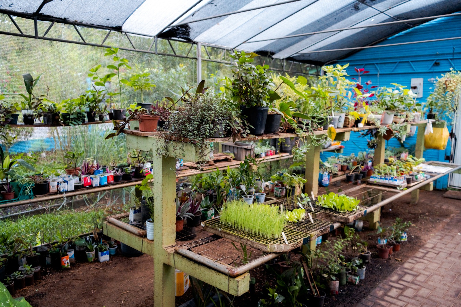 Floração transforma resíduos orgânicos em vida e aprendizado