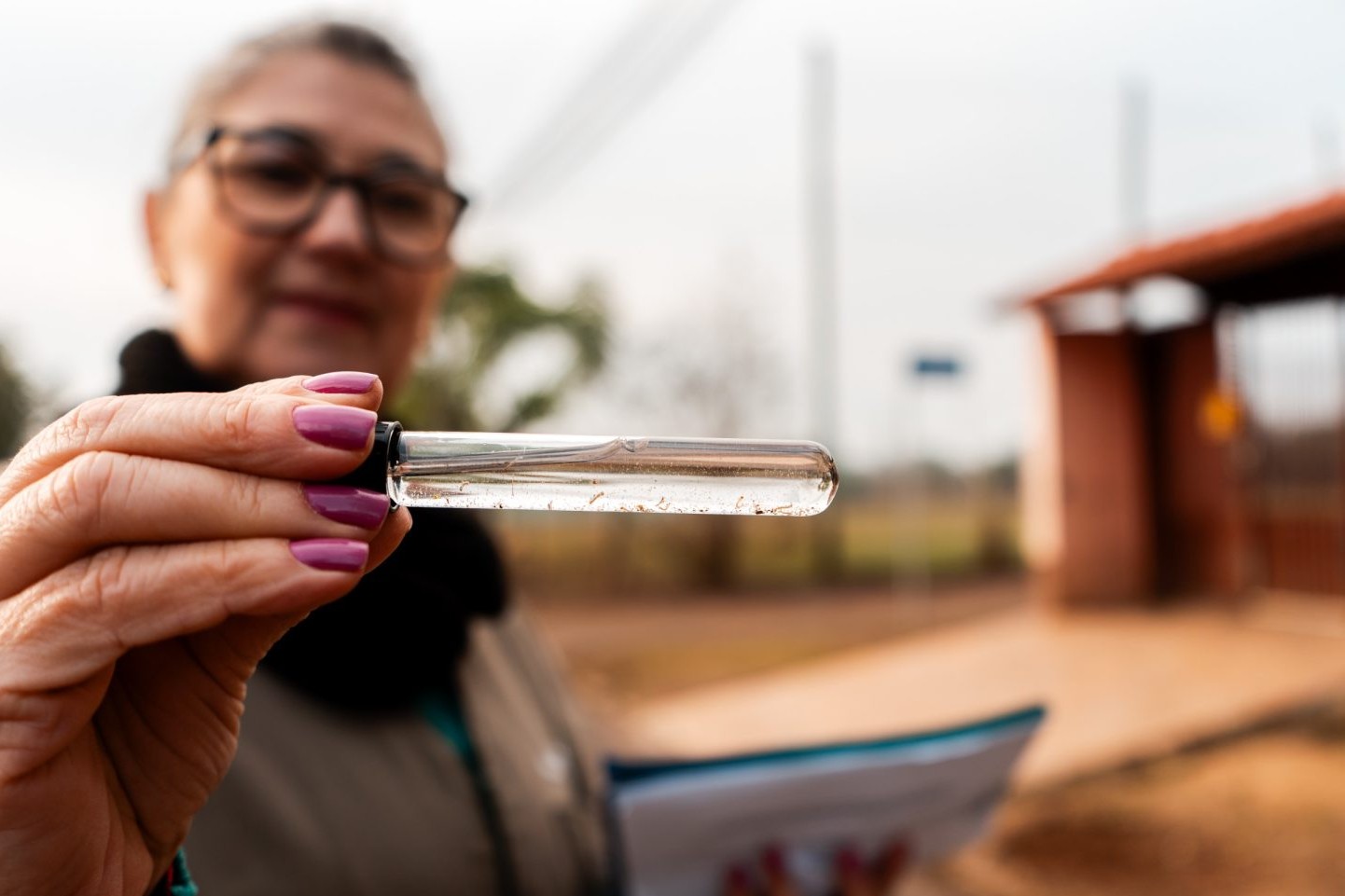 Saúde de Campo Bom segue agindo com sucesso na prevenção à dengue