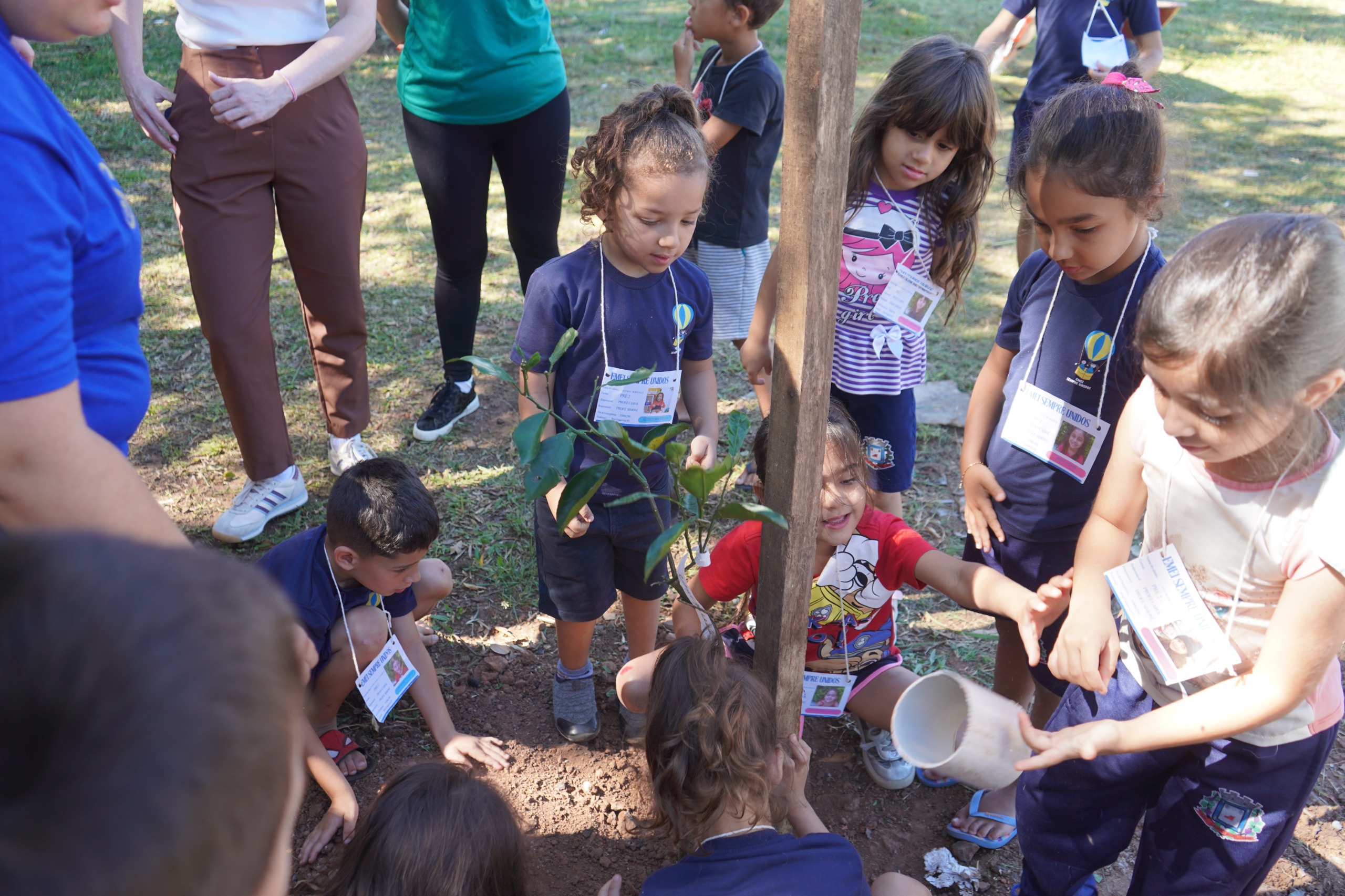 Parceria entre comunidade, Meio Ambiente e EMEI Sempre Unidos transforma área com plantio de árvores frutíferas