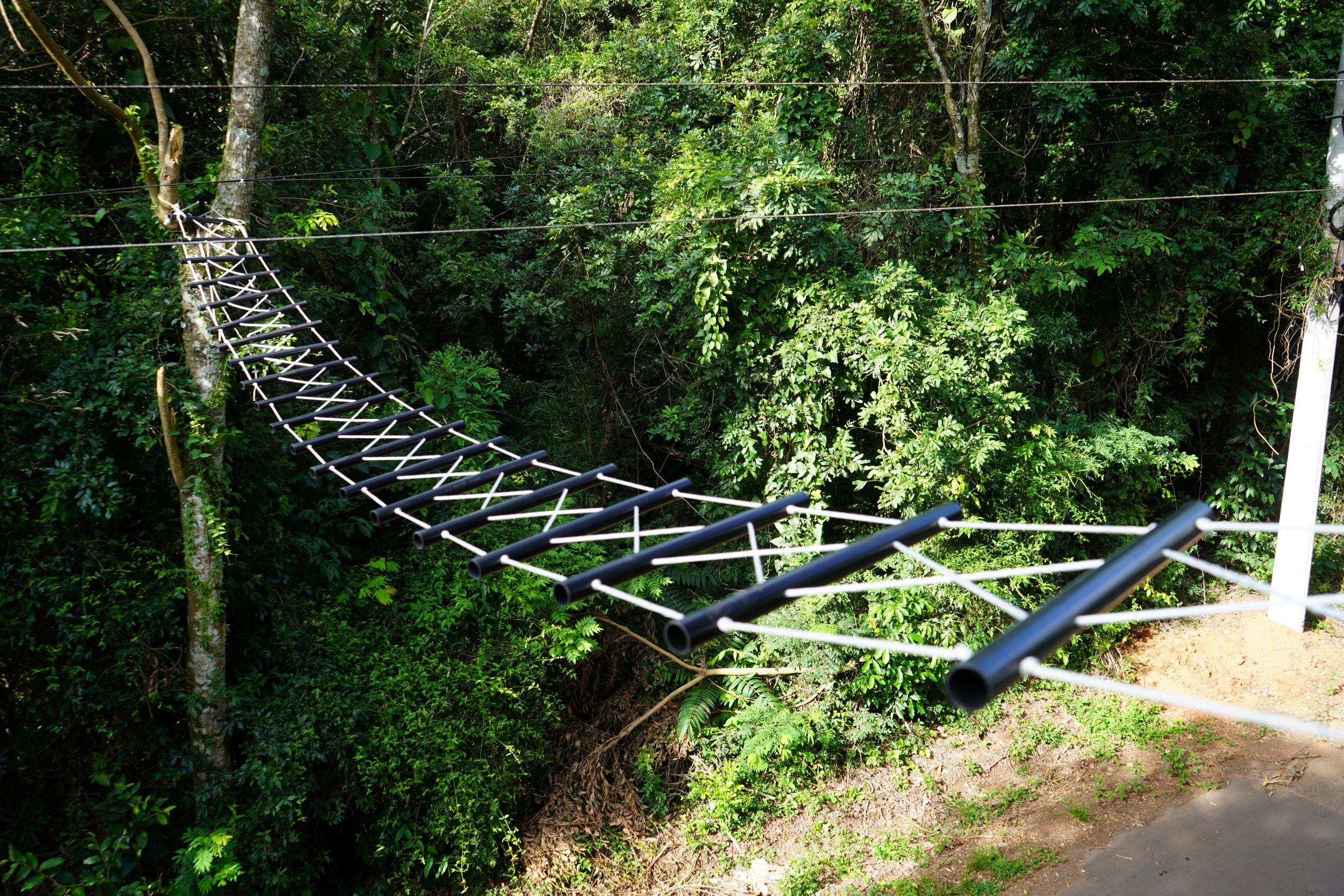 Prefeitura instala passarelas para bugios no bairro Quatro Colônias