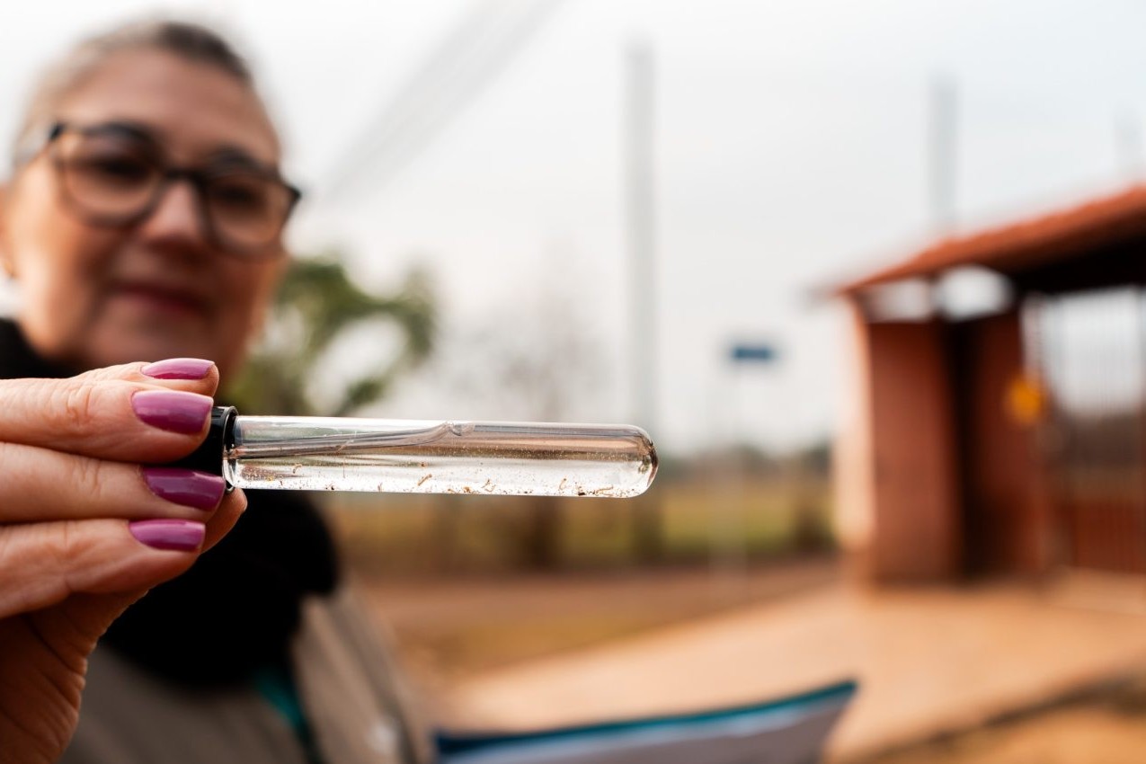 Casos de dengue em Campo Bom seguem diminuindo em comparação a 2024 e 2025