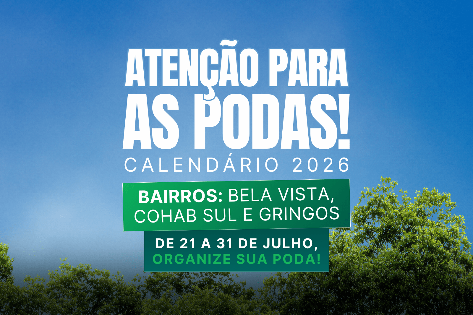 Coleta de podas nos bairros Bela Vista, Gringos e Cohab Sul inicia nesta terça-feira